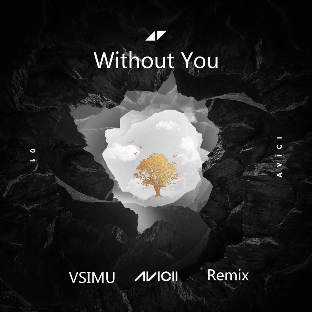 Without You (Vsimu Remix)专辑