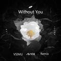 Without You (Vsimu Remix)