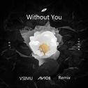 Without You (Vsimu Remix)专辑