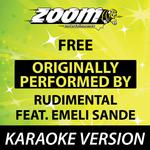 Free (Originally By Rudimental feat. Emeli Sande) [Karaoke Version]专辑