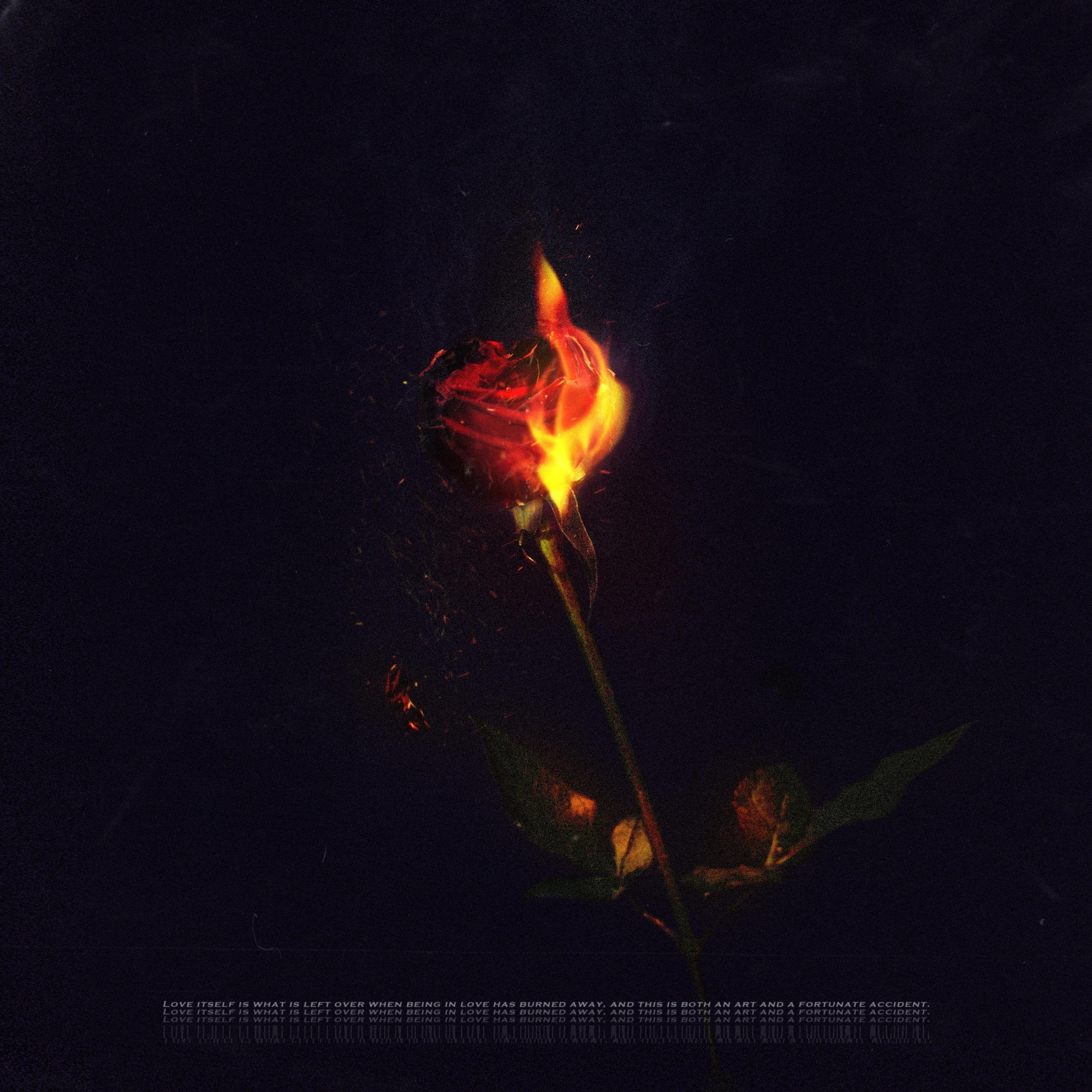 CHOPPER FLAME : THE ROSE