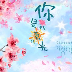 你是初夏的光 (纯歌版)