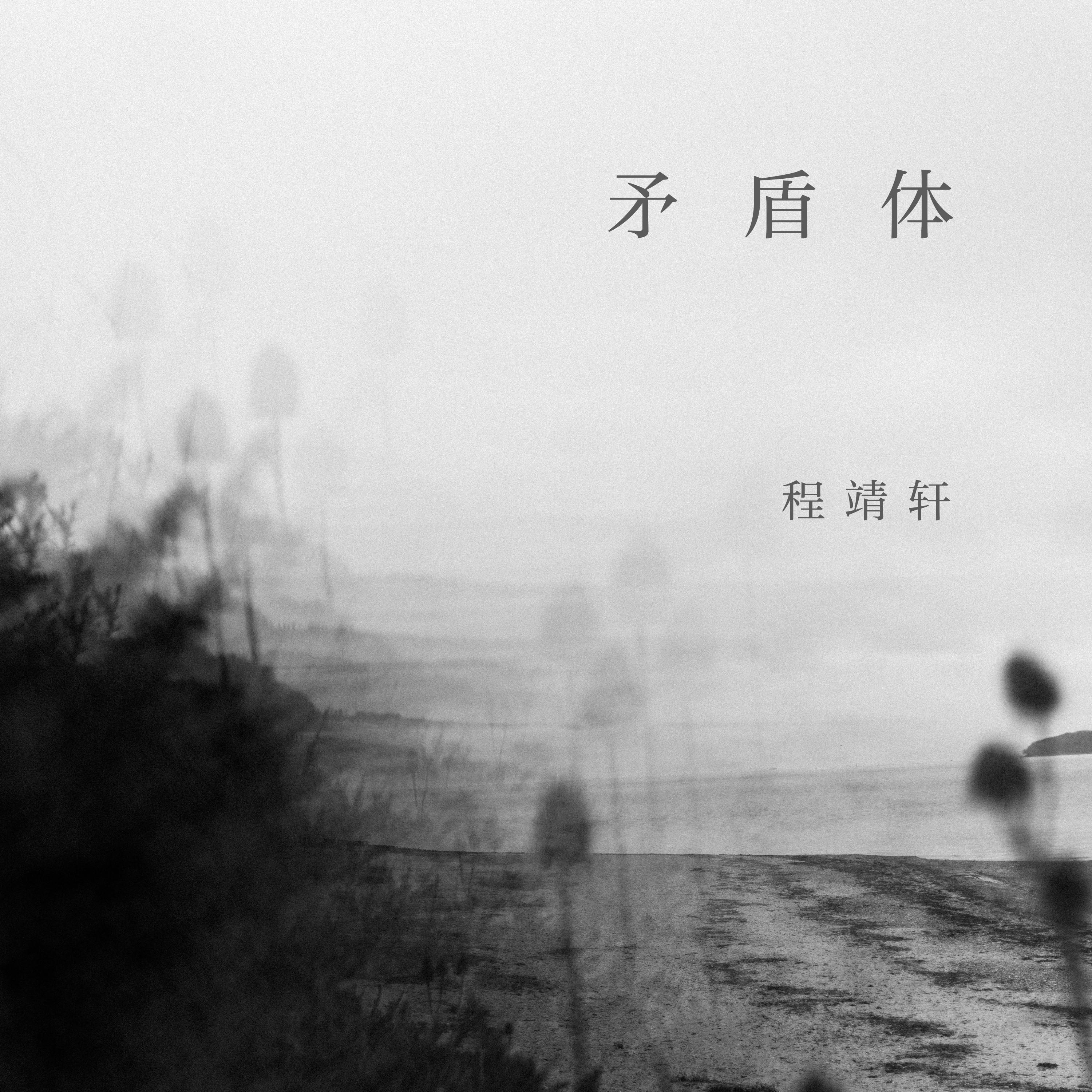 矛盾体