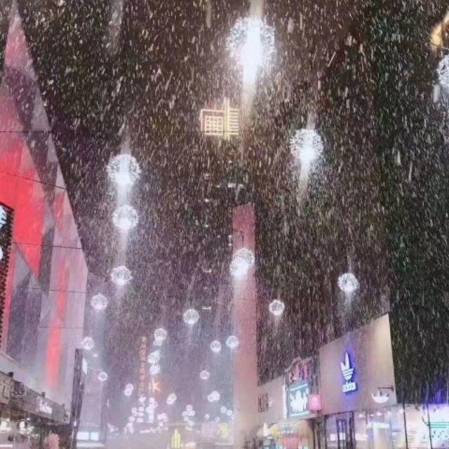 雪与风