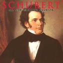 Schubert: All Time Greatest Moments专辑