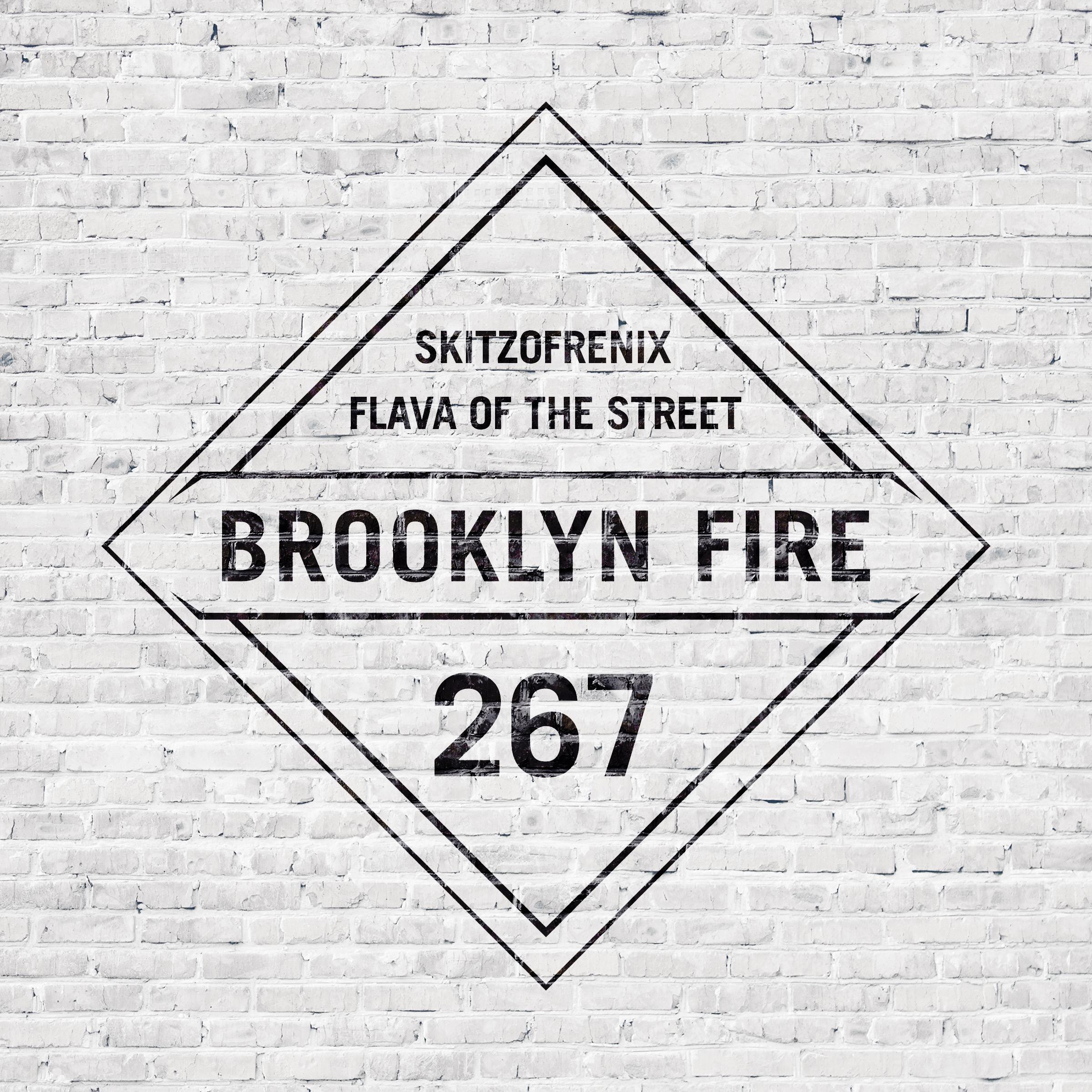 Flava of The Street