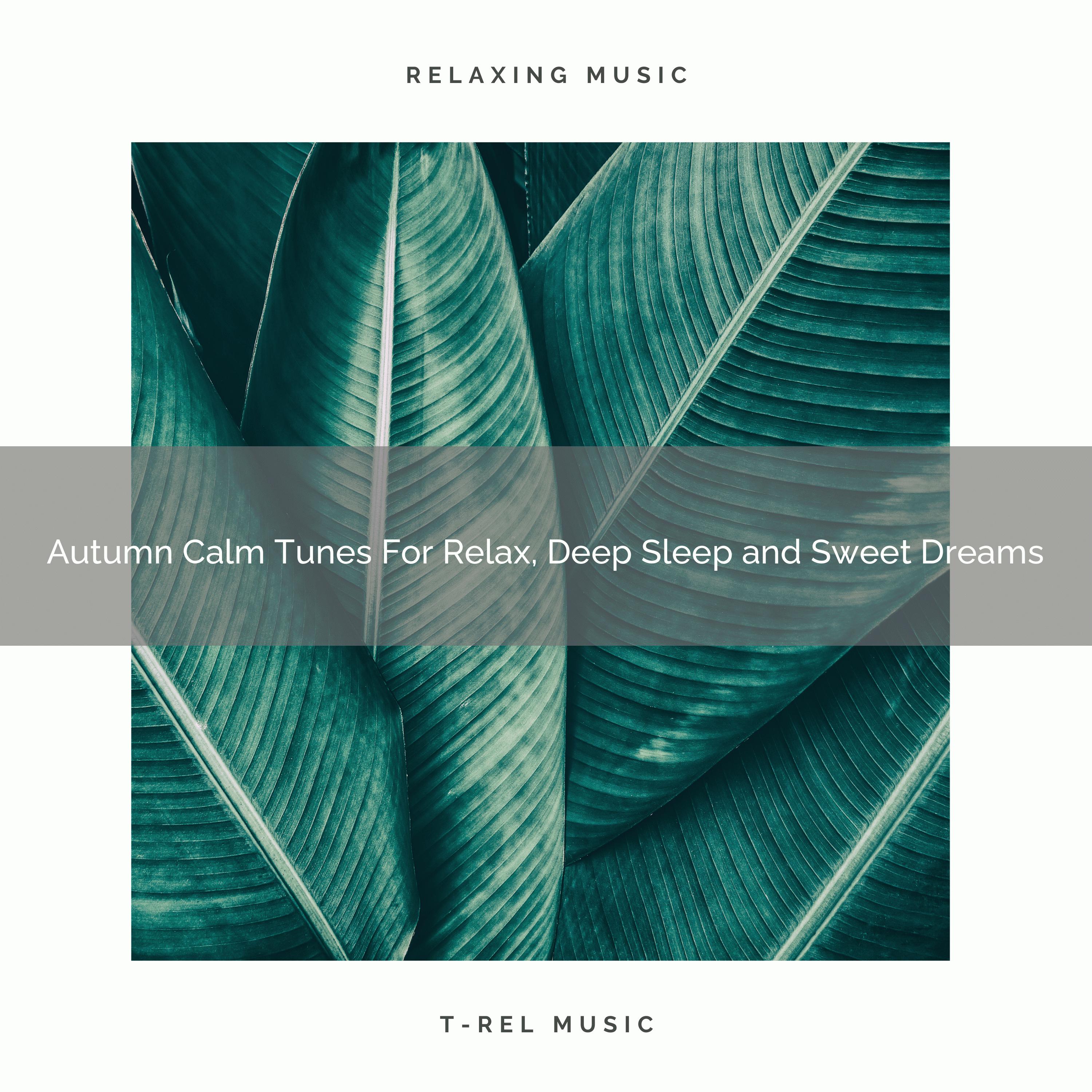 Autumn Calm Tunes For Relax, Deep Sleep and Sweet Dreams