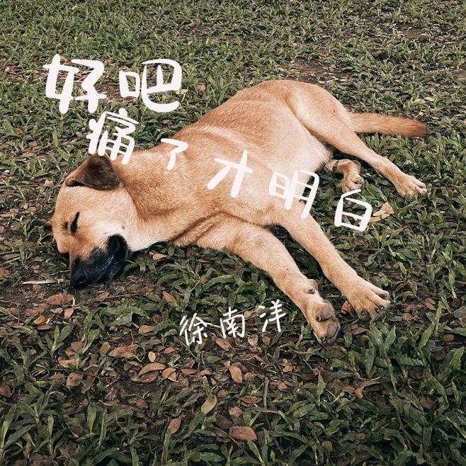 好吧 痛了才明白