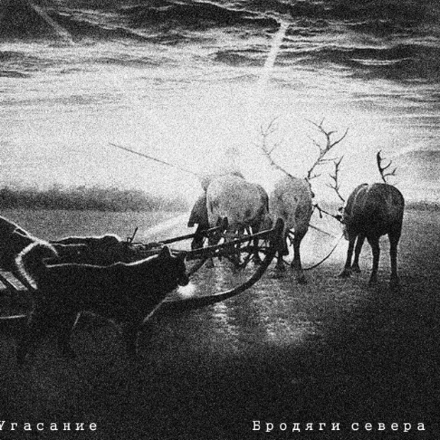 Бродяги севера