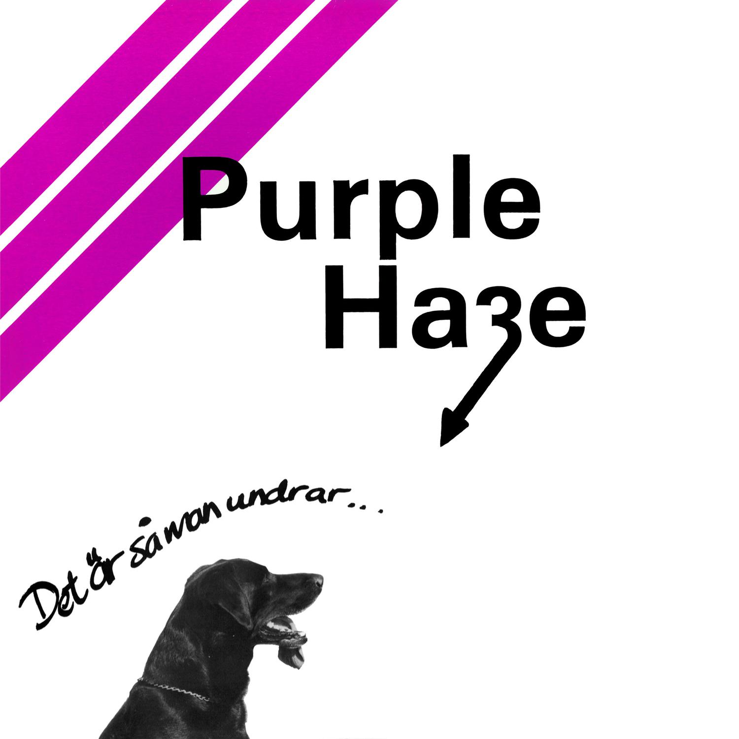 Purple Haze - What a Night