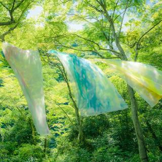 春归若梦 | 让灵魂散落在春天的记忆里