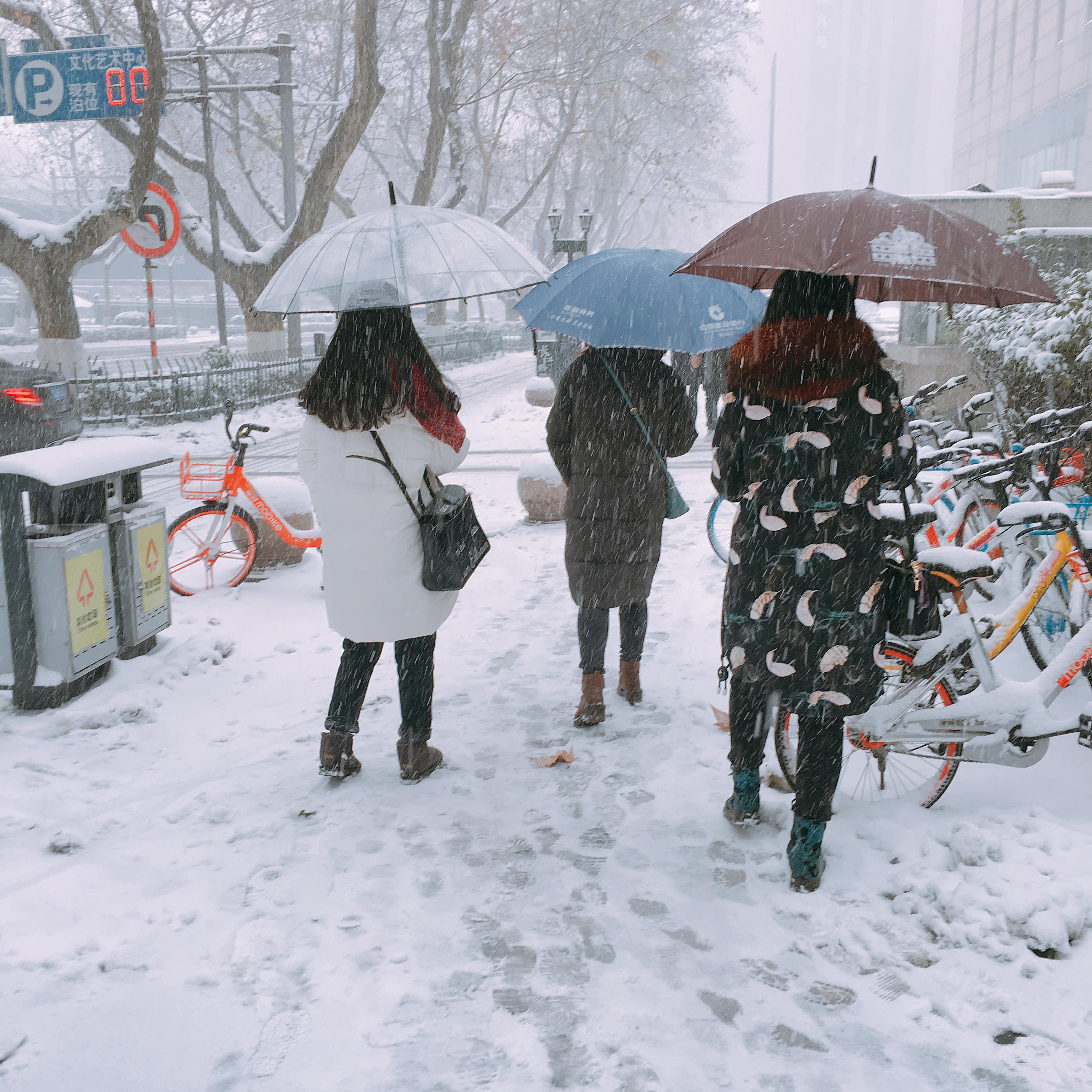 等到大雪封山的那一天专辑