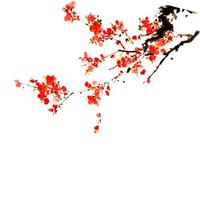 佚名 - 单思调(原版伴奏)