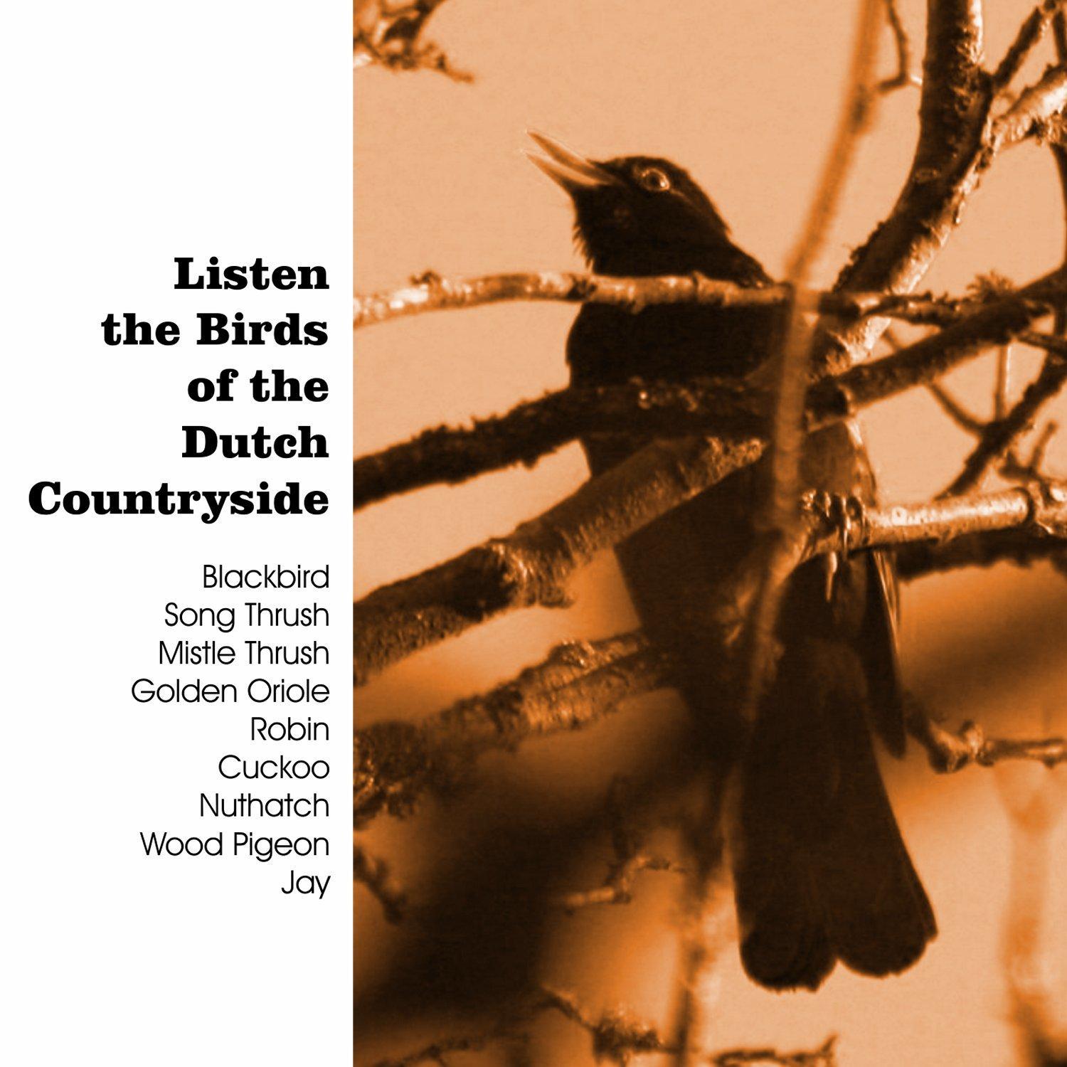 Listen the Birds of the Dutch Countryside