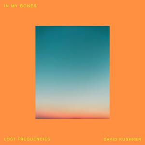 Lost Frequencies、David Kushner - In My Bones (精消 带伴唱)伴奏 （降3半音）