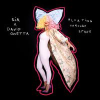 Sia David Guetta-Floating Through Space 伴奏 无人声 伴奏 更新AI版