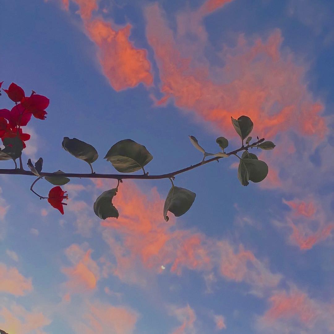 熬夜上瘾（翻自 刘亦心（可乐就是力量））