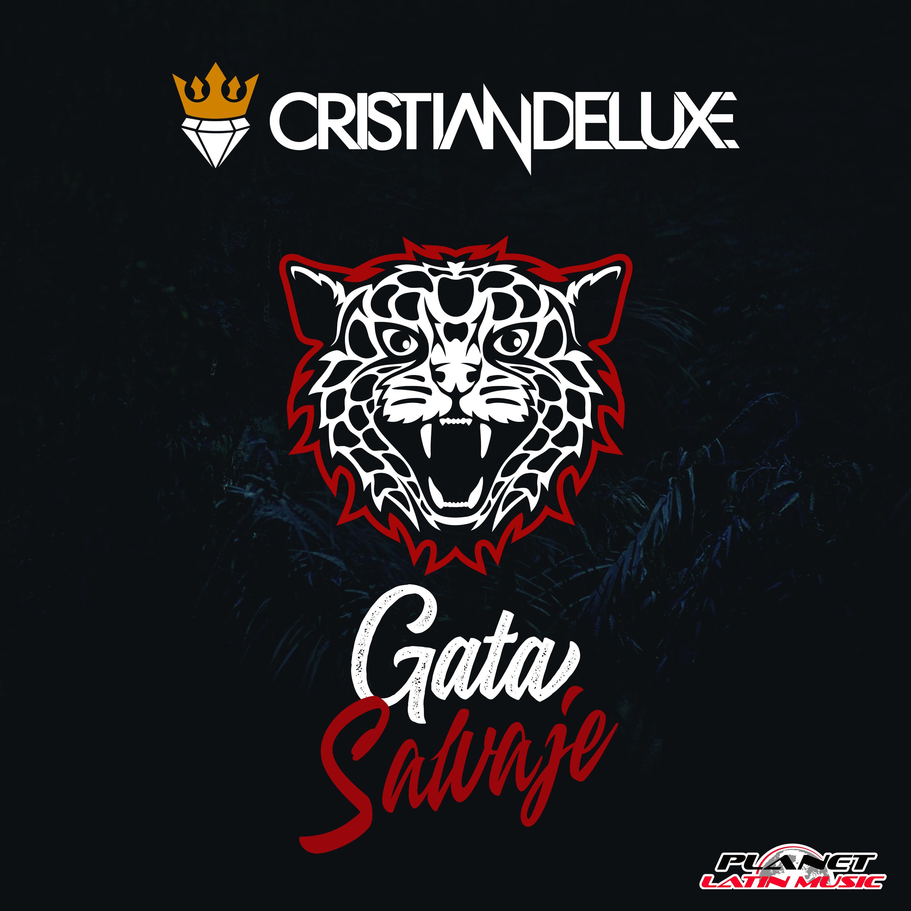 Gata Salvaje