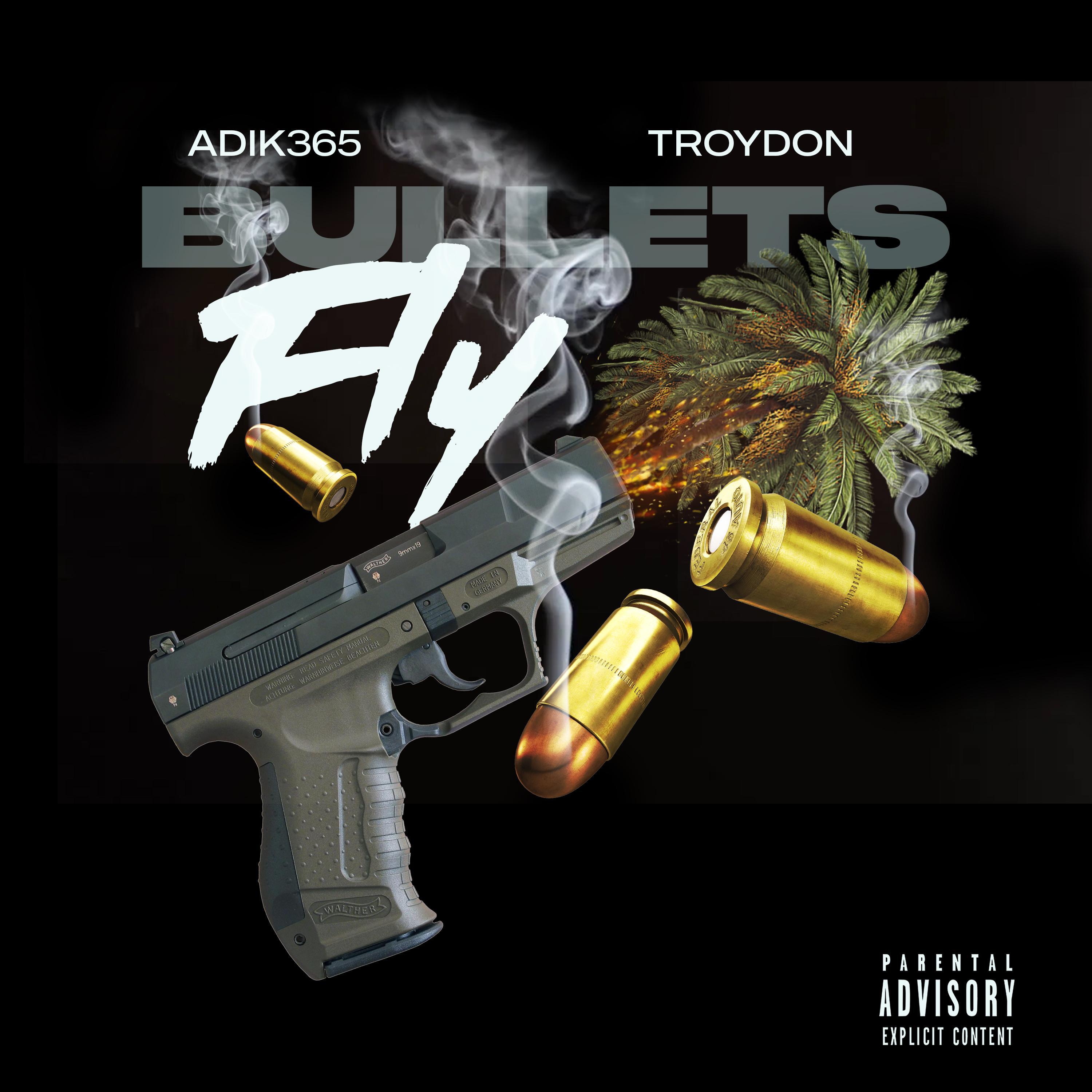 Bullets Fly (feat. Troydon)