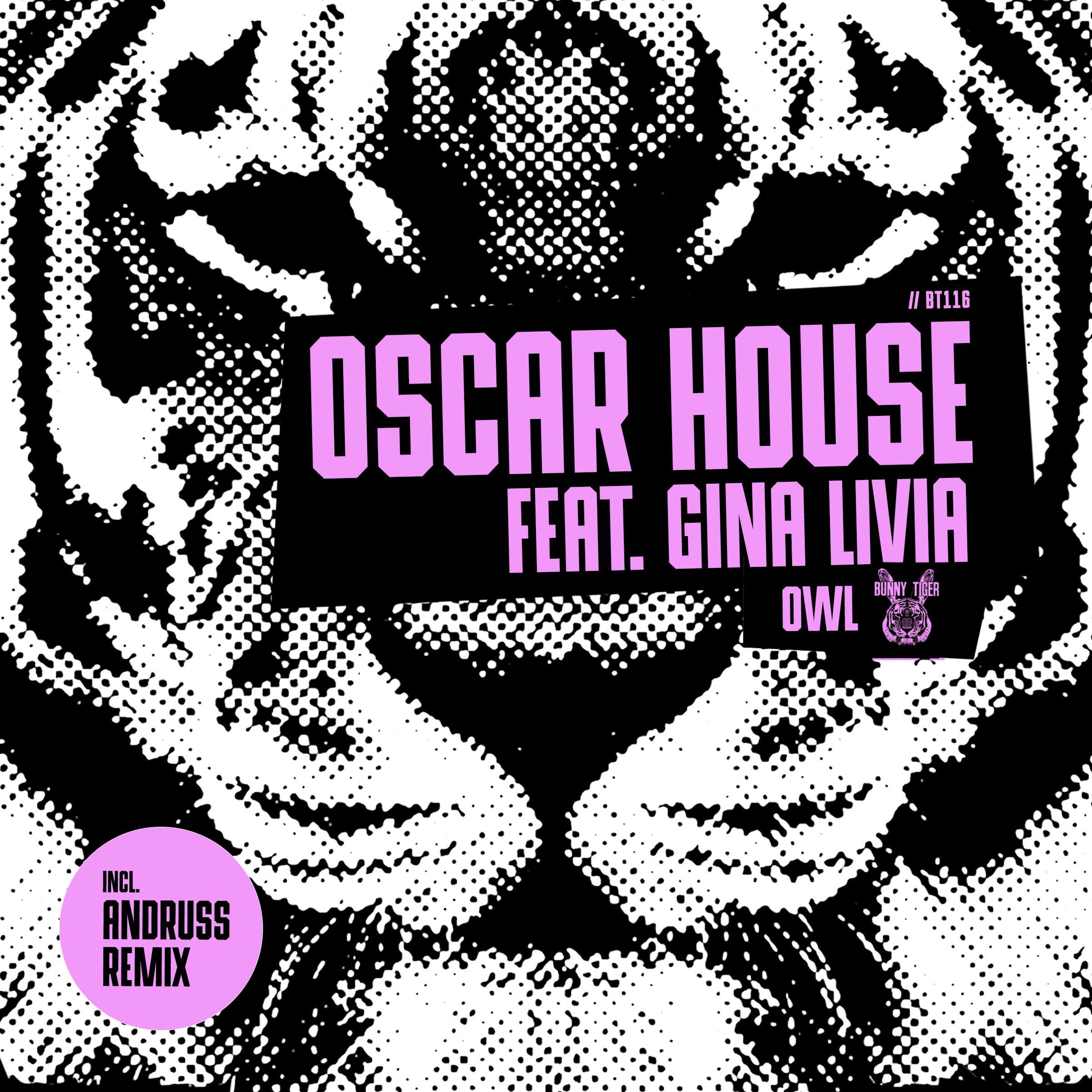 Oscar House - Owl (Andruss Remix)