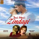 Teri Meri Zindagi专辑