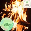 Blinking Fire Sound World - The Soft Steady Campfire