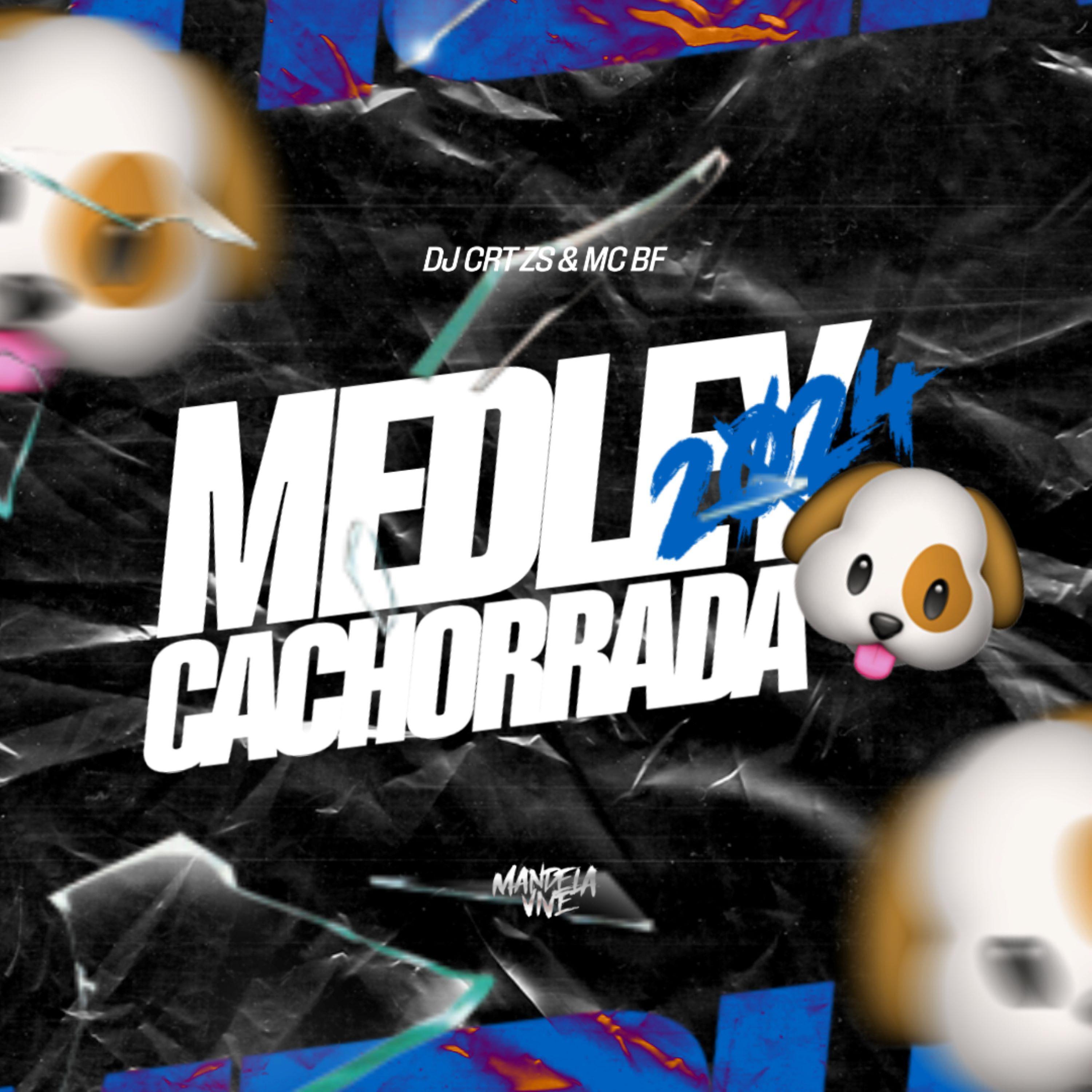 DJ CRT ZS - Medley Cachorrada 2024