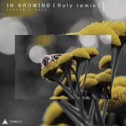 In Growing（Ruly Remix）