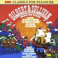 I Am the Very Model od a Modern Major-General - Pirates of Penzance (Ist Instrumental) 无和声伴奏