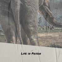 Merle Haggard - Life In Prison(01) (unofficial Instrumental)