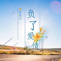 菲麦尔 - 负了爱情(原版立体声伴奏)