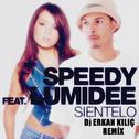 Sientelo (Dj Erkan KILIÇ Remix)专辑