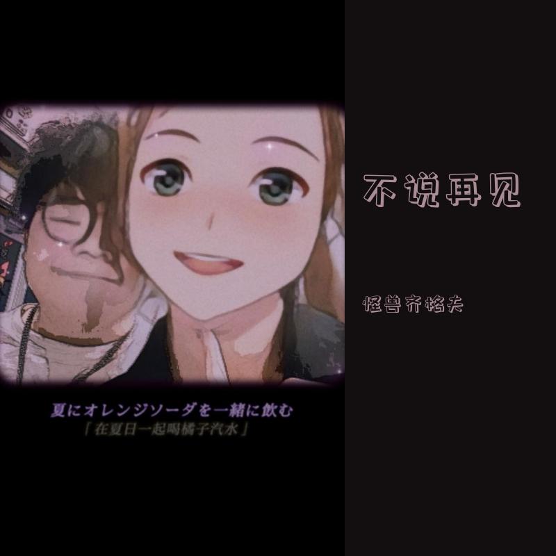 不说再见封面