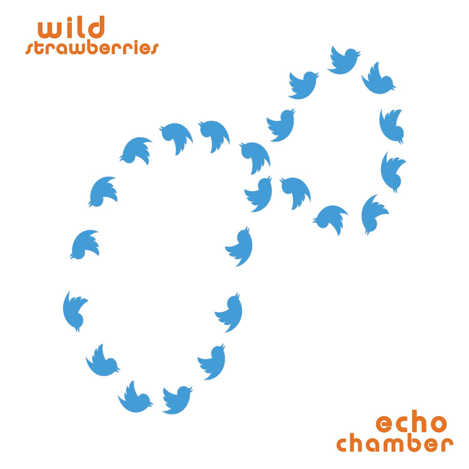 Echo Chamber