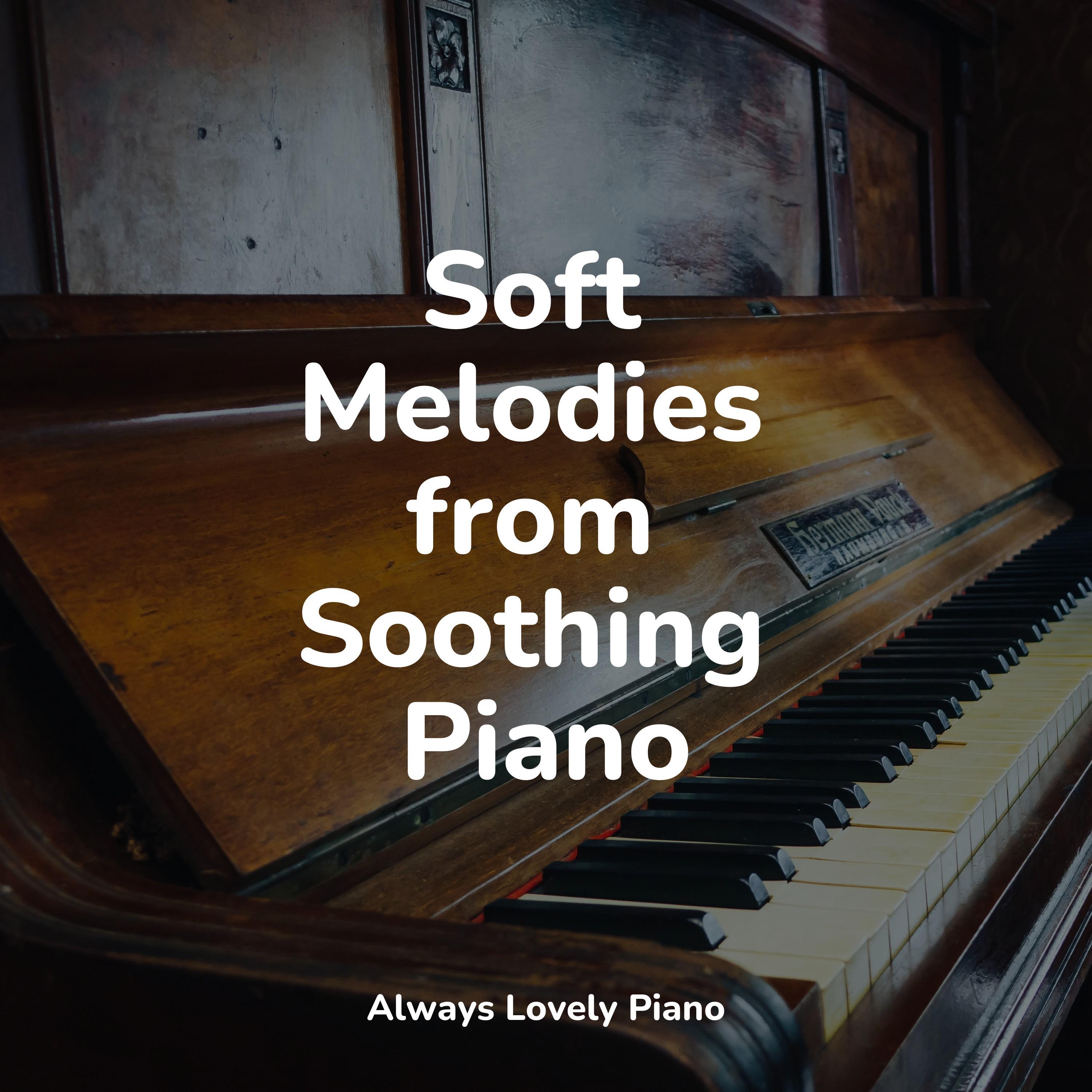 Calming Sounds of Tranquility