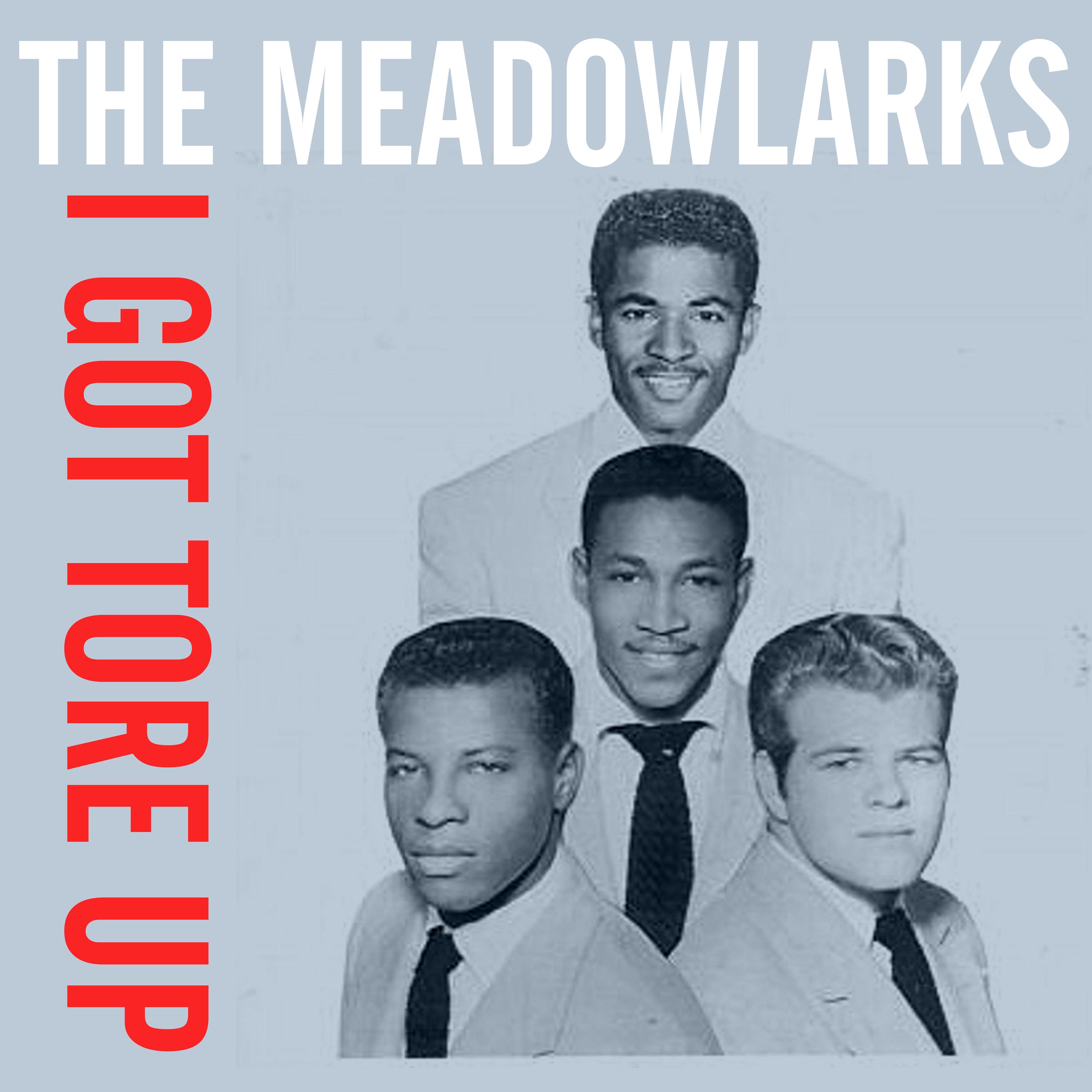 The Meadowlarks - Real Pretty Mama