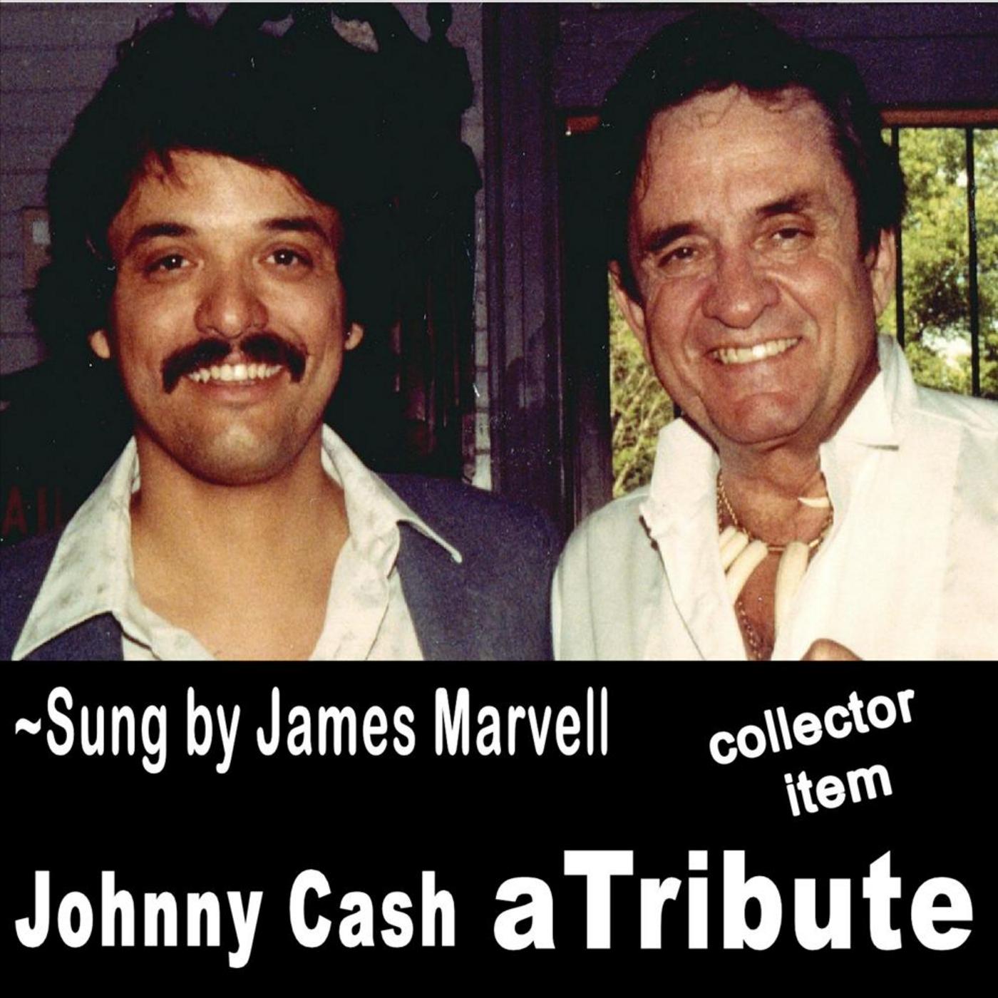 Johnny Cash a Tribute