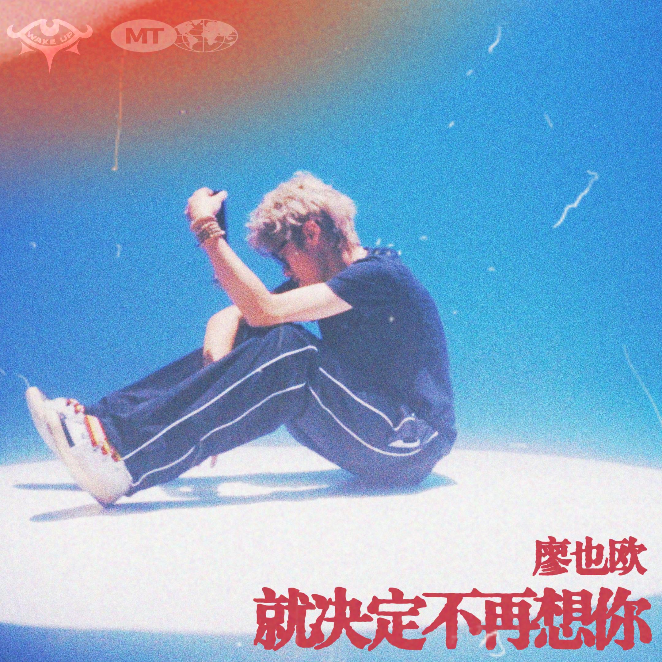 就决定不再想你