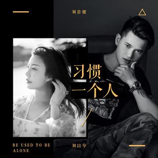 『翻唱经典』百首经典翻唱 耳朵好听到怀孕