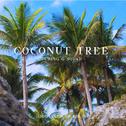 Coconut Tree专辑