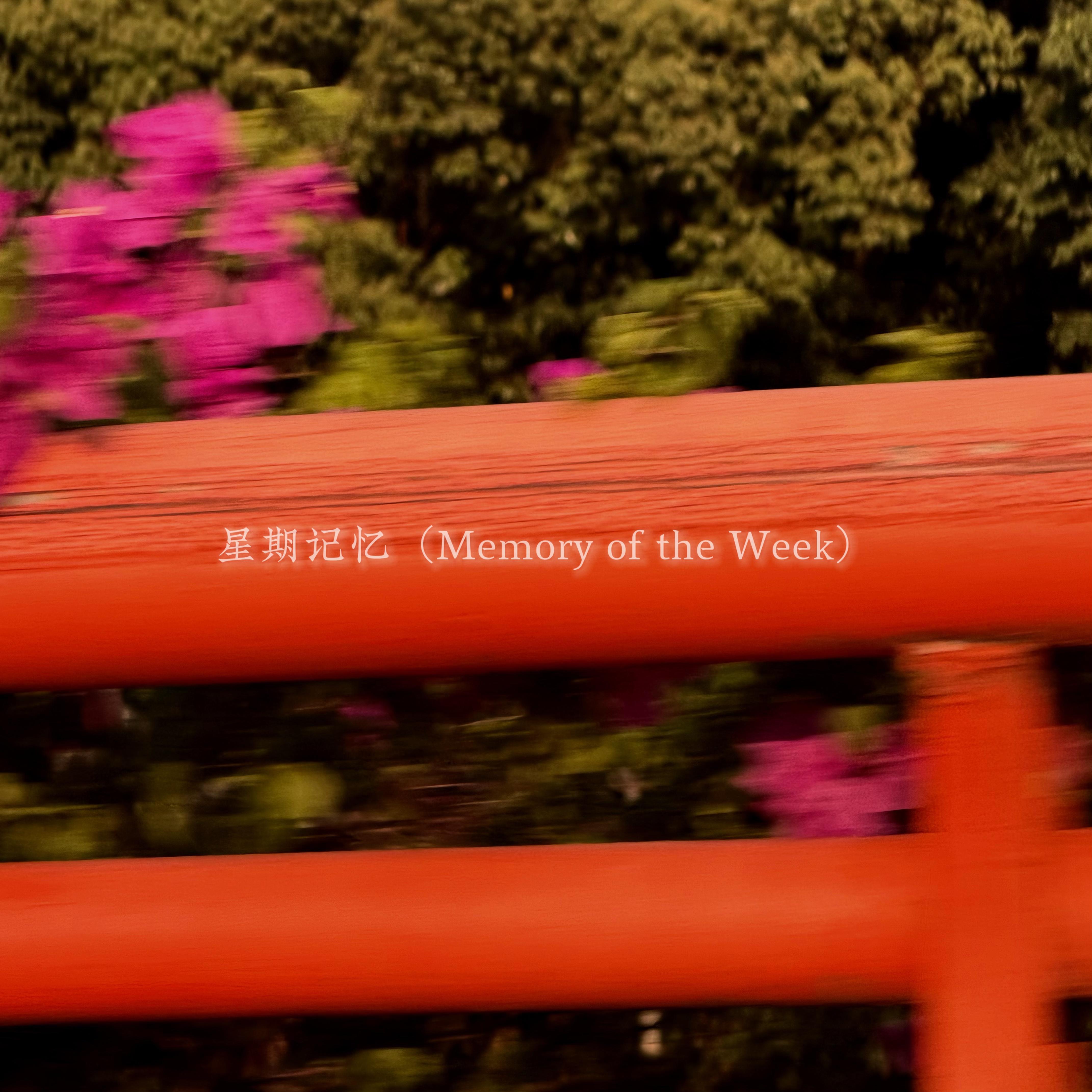 星期记忆（Memory of the Week）