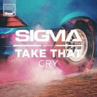 Sigma with Take That - Cry (karaoke)