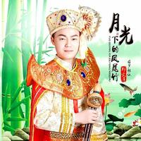 龙飘飘 月光下的凤尾竹降B (慢三版)