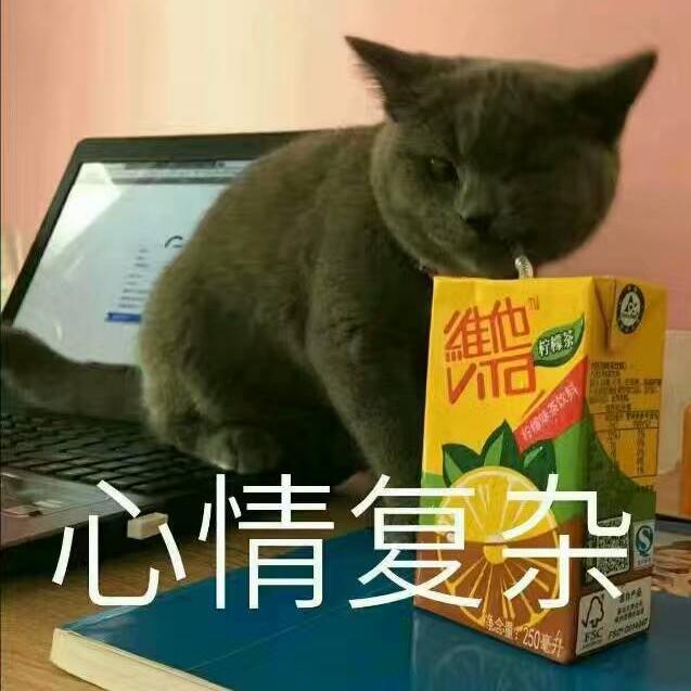 你那么爱他