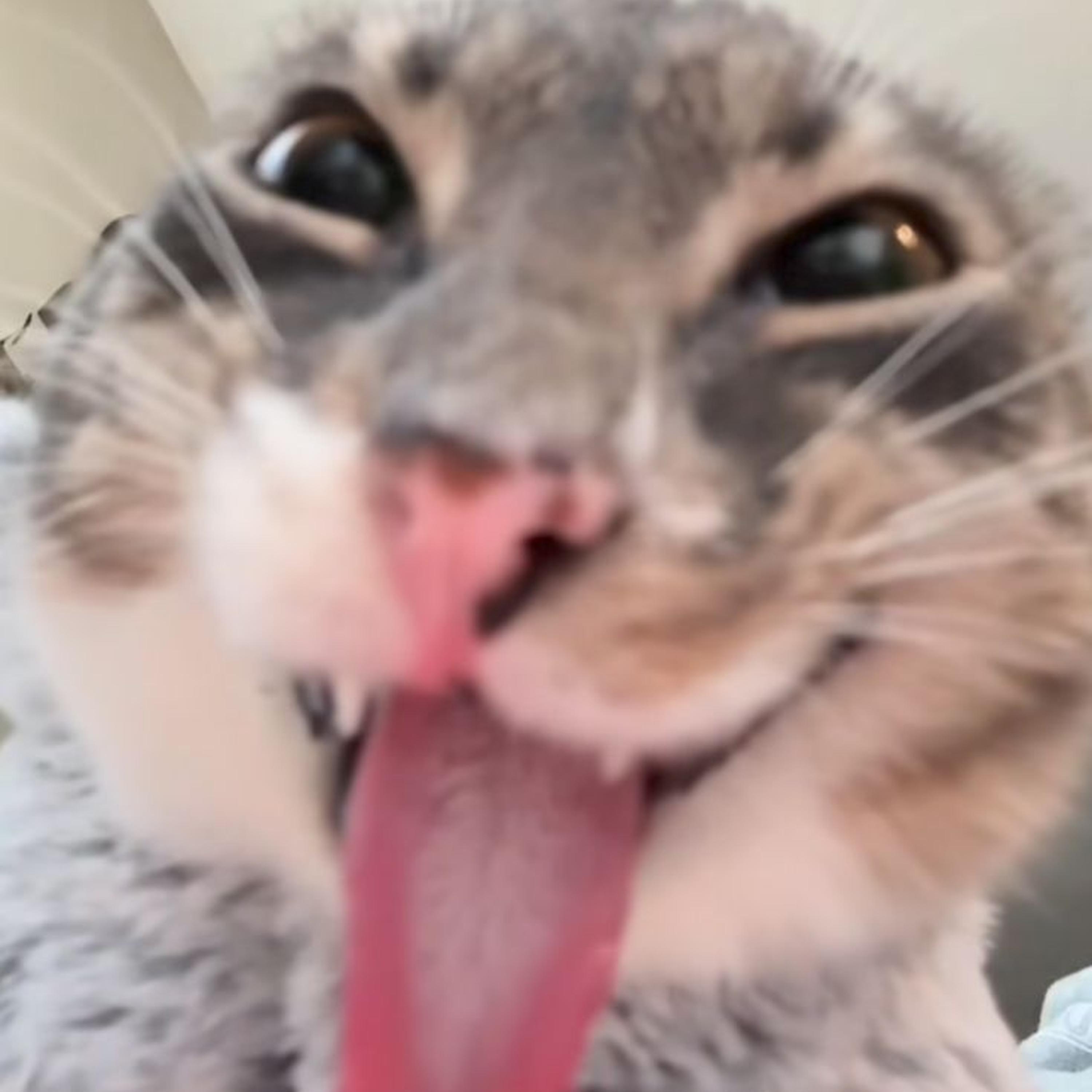 505
