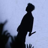 虫很二 - 鸳鸯戏