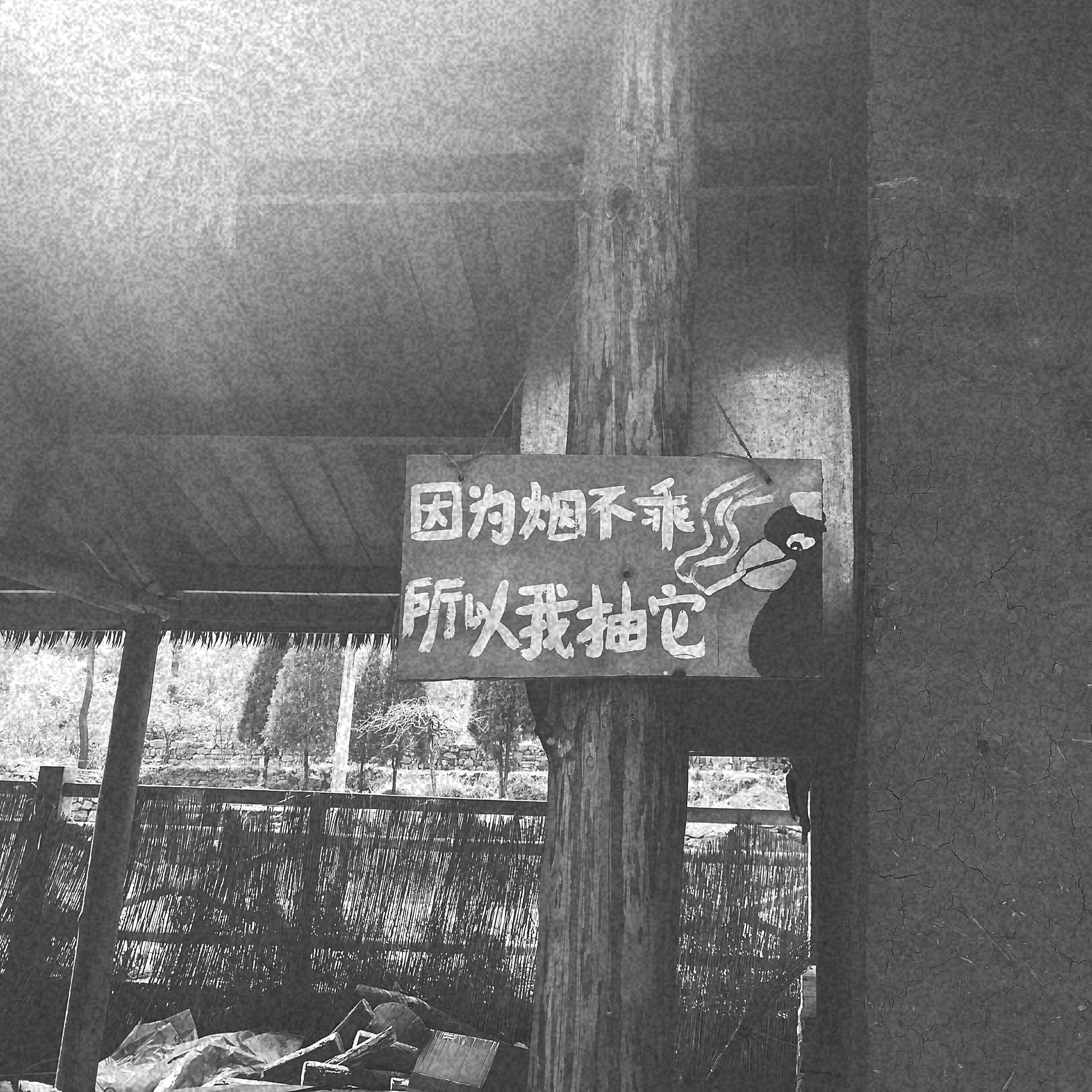 别哭了老尸专辑