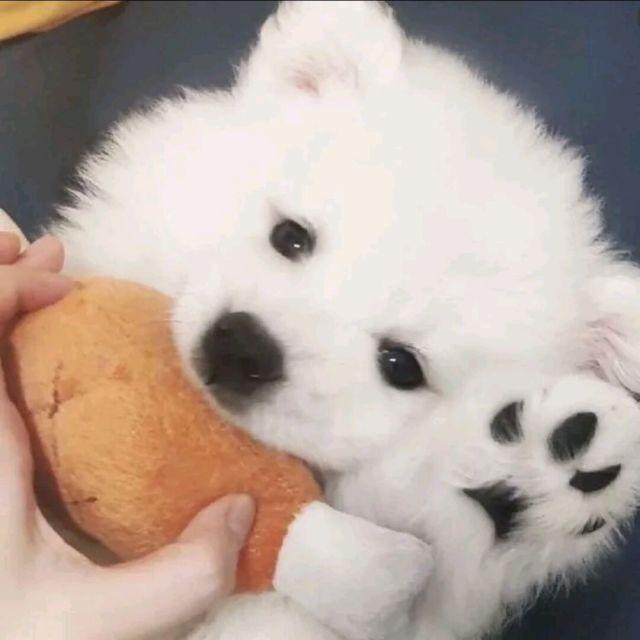 Geebar / Capper-雪distance x 褪色的佛（ひろまさ様 remix）