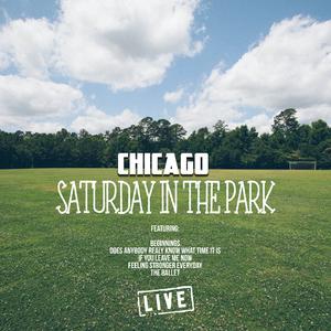 Saturday In The Park (Karaoke Version) （原版立体声）