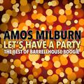 Let's Have a Party  (The Best of Barrelhouse Boogie)